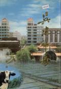 吴忠市志