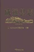 威远县志2002