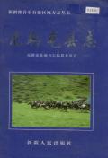 尼勒克县志