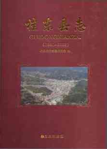桂东县志2002