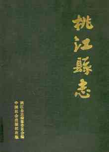 桃江县志