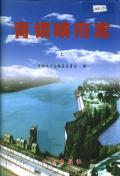 青铜峡市志上