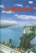 青铜峡市志下